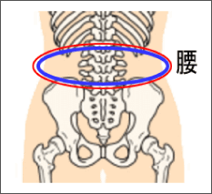 腰痛は腰痛アカデミーで、ヘルニア、狭窄症も治る、更に坐骨神経痛も治す坂戸孝志の名医による腰痛は自分で治せる克服法