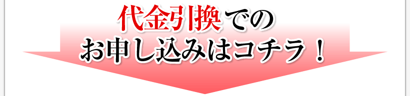 腰痛、ヘルニア、狭窄症も治る、更に坐骨神経痛も治す名医坂戸孝志の腰痛アカデミーを代金引換でのお申込みはコチラ！