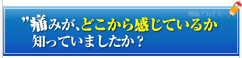 腰痛を治す腰痛アカデミーで、腰痛、ヘルニア、狭窄症、坐骨神経痛、を克服していない
”痛み”がどこから感じているか知っていましたか？